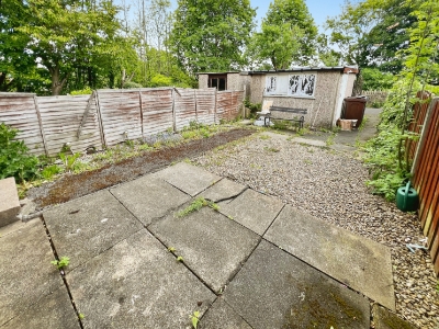 Picture 20